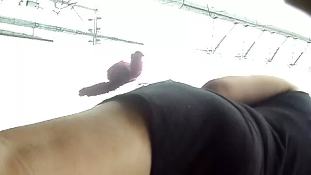 Payudara cerita tante sex bergambar tabuhan, tanduk jari Samara